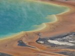 Thermophiles autour du Grand Prismatic